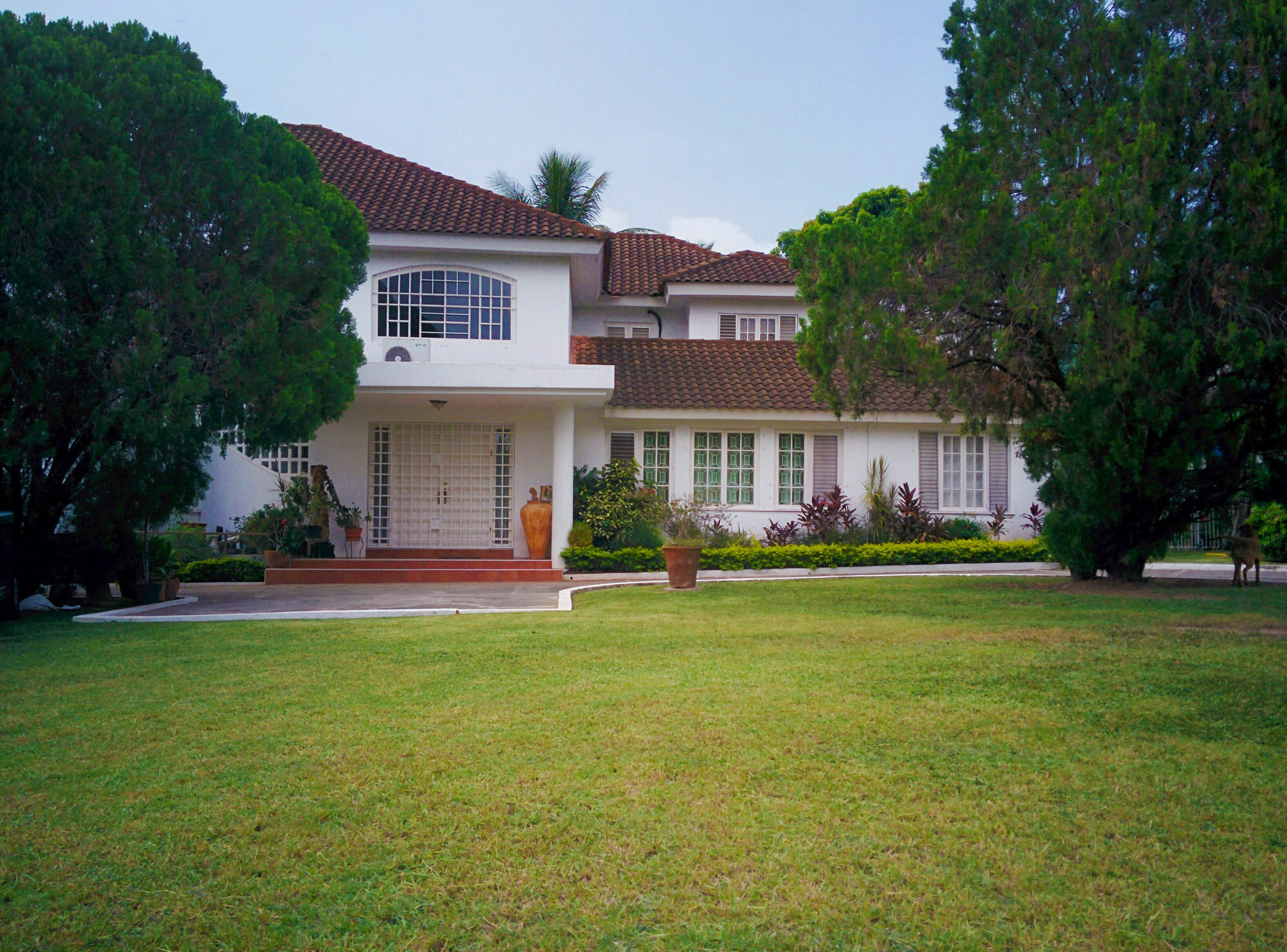 Chester Avenue Guest House Kingston Dış mekan fotoğraf